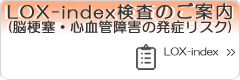 LOX-index検査